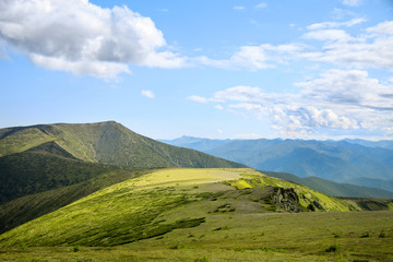 Stunning view to the mountains covered with green grass and bush