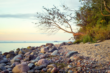 Morze, kamienista plaża o wschodzie słońca