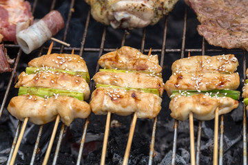 barbecue with delicious grilled meat and leek