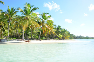 Tropical beach in Dominicana