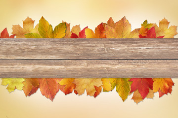 Obraz premium Background Autumn with wooden planks