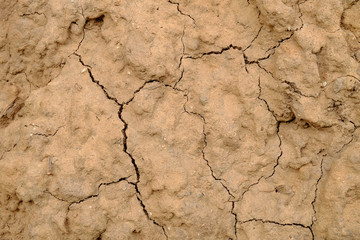 dry soil cracked background