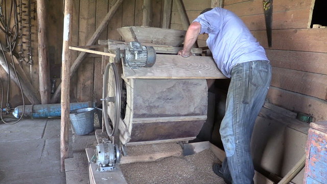 farmer processed grain with old hand cleansing harp in barn