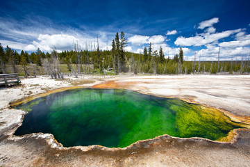 USA - Yellowstone NP - 69800368