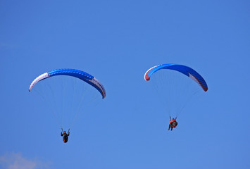 paragliders