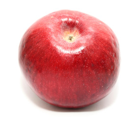 Red ripe apple isolated on a white backgroun