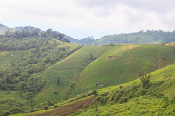 fields in the mountains