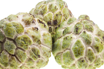 Annona fruit