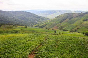 fields in the mountains