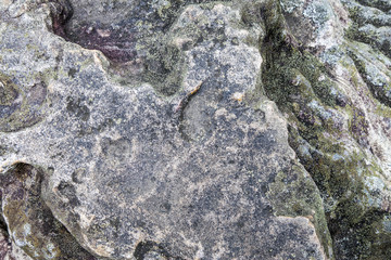 Stone background