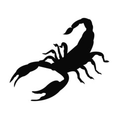 Scorpion