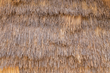 Straw or Dry Grass Background Surface Texture Pattern