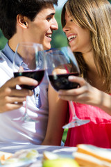 Attractive couple drinking wine on romantic picnic in countrysid