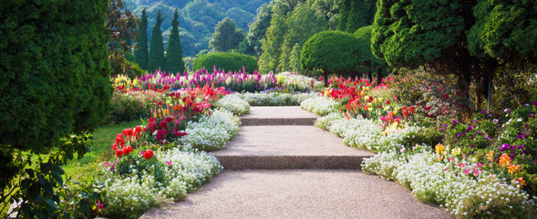 Fototapeta premium Ogród z kwiatami