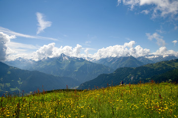 Ahornspitze - Zillertal - Alpen