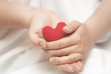 Red heart in gentle woman's hands