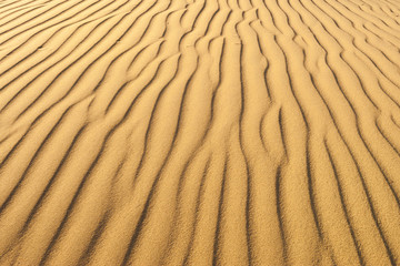 Desert Sand Dune