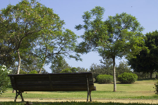 banco en el parque