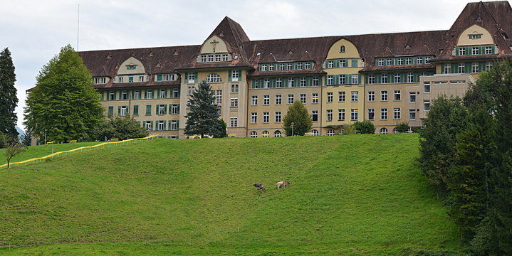 ingenbohl