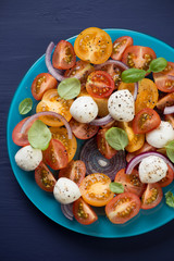 Close-up of salad with tomatoes and mozzarella, above view