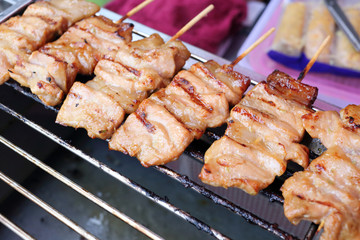 grilled pork on grill