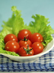 Fresh tomatoes and green salad