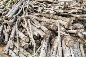 Firewood
