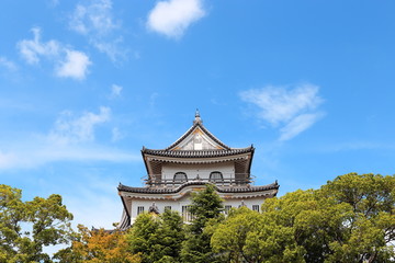 Castle of Japan