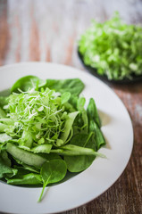 Salas with spinach,cucumber and microgreens on wooden background