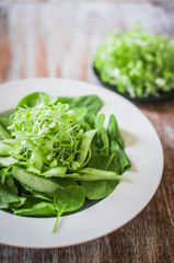 Salas with spinach,cucumber and microgreens on wooden background