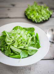 Salas with spinach,cucumber and microgreens on wooden background