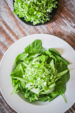 Salas with spinach,cucumber and microgreens on wooden background