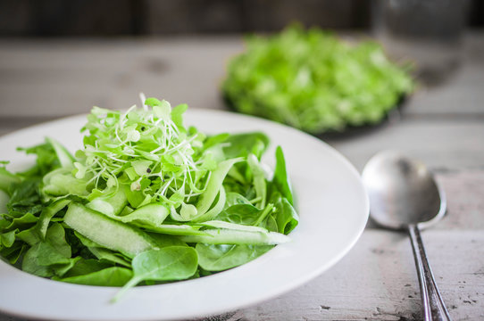 Salad with spinach,cucumber and microgreens on wooden background