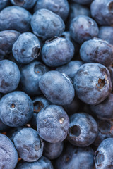 Blueberry basket isolated on white
