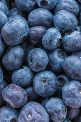 Blueberry basket isolated on white