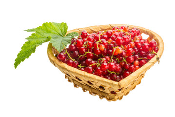 Red currant