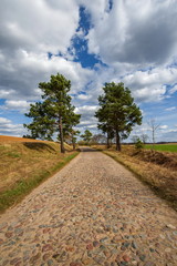 Krajobraz wiejski, droga © janmiko