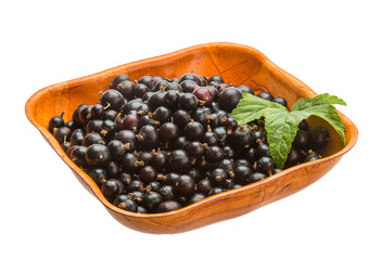 Black currant