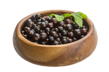 Black currant