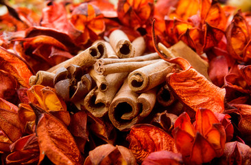 Dried flowers and aromatic orange bark