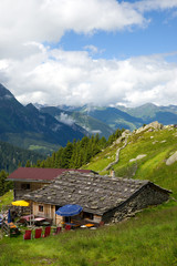Fototapeta na wymiar Filzenalm - Zillertal - Alpen
