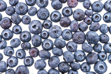 Blueberry