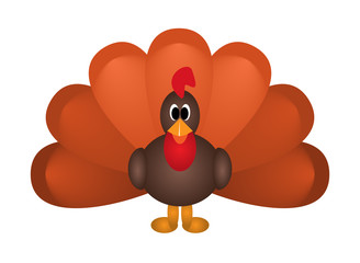 Cartoon of turkey bird