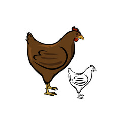 Hen