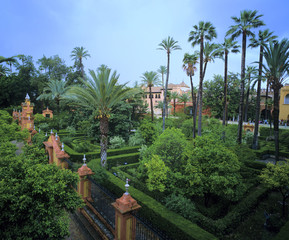 Fototapeta na wymiar Jardins de l'Alcazar de Séville