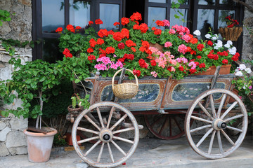 Fototapeta na wymiar Flowers in the Cart