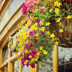 Flower decoration in English pub on street of London