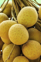 Close Up of Longan.