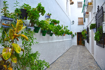 Fototapeta na wymiar Priego de Córdoba, calle decorada con macetas