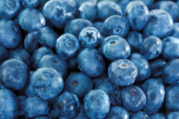 Blueberries close-up